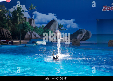 Zoo Marine in Albufeira Portugal-Delphin-show Stockfoto