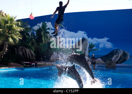 Zoo Marine in Albufeira Portugal-Delphin-show Stockfoto