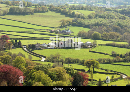 Mit Blick auf das Dorf von Peter Tavy Stockfoto