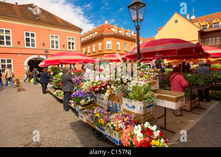 Dolac Blumenmarkt [Tržnica Dolac], Zagreb, Kroatien Stockfoto