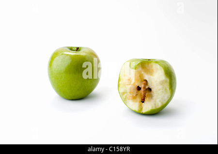 Zwei grüne Äpfel, eine halb gegessen mit einem Würmer kriechen aus der Mitte. Stockfoto