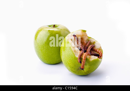 Zwei grüne Äpfel, eine halb gegessen mit einem Würmer kriechen aus der Mitte. Stockfoto