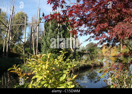 Chester zoologischen Gärten. Herbstliche Ansicht von Chester Zoo mit dem Buffy leitete Kapuziner-Affen pen im Hintergrund. Stockfoto