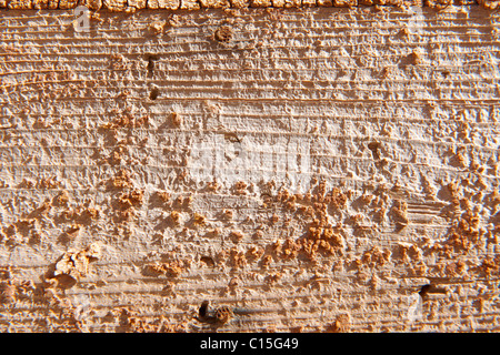 Orange abblätternde Farbe Hintergrund hautnah Stockfoto