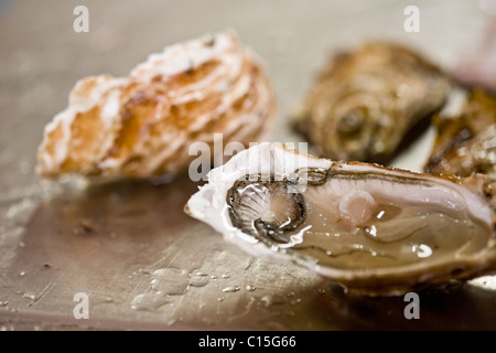 Nahaufnahme eines geöffneten Austern Stockfoto