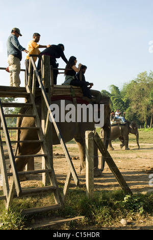 Klettern auf Elefanten für einen Elefanten Dschungel-Safari im Chitwan Nationalpark, Nepal. Stockfoto