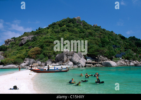 Taucher auf Ko Nan Yuang in der Nähe von Koh Tao, Thailand, Südostasien Stockfoto