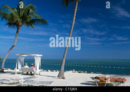 Garten Cove, Key Largo, Florida Keys, Florida, USA Stockfoto