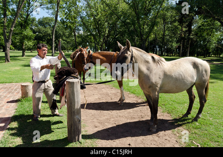 Ranch (Estancia) La Bamba, San Antonio de Areco, Provinz Buenos Aires, Argentinien Stockfoto