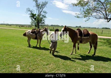 Ranch (Estancia) La Bamba, San Antonio de Areco, Provinz Buenos Aires, Argentinien Stockfoto