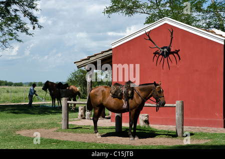 Ranch (Estancia) La Bamba, San Antonio de Areco, Provinz Buenos Aires, Argentinien Stockfoto