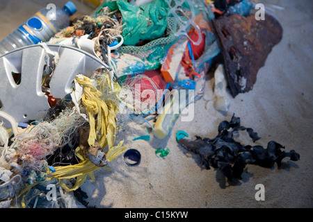 Wurf am Strand sand - Installation im Two Oceans Aquarium Stockfoto