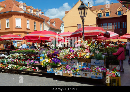 Dolac Obst & Gemüsemarkt [Tržnica Dolac], Zagreb, Kroatien Stockfoto