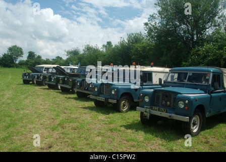 Eine Linie des Jahrgangs Land Rover bei einer Show historischer Fahrzeuge. Stockfoto