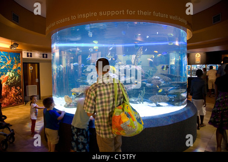 Besucher im Two Oceans Aquarium in Kapstadt Stockfoto