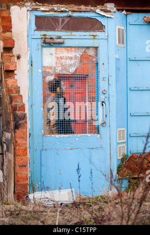 Ein Mann geht vorbei an einer Tür auf einer verlassenen abgerissen-Shop in Loughborough, Leicestershire, UK. Stockfoto