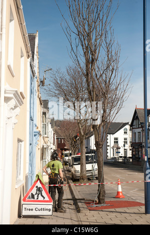Baum-Chirurgen schneiden Bäume vor einer Reihe von Reihenhäusern, UK Stockfoto