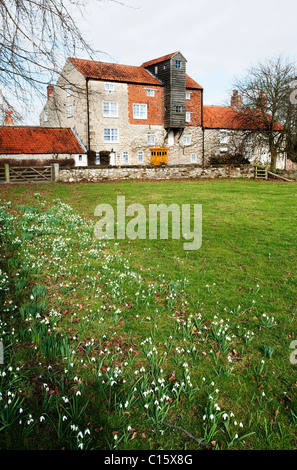 Frühling Schneeglöckchen vor Vivers Mühle Pickering Stockfoto