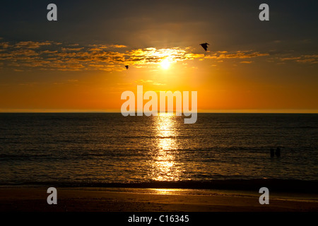 Vögel fliegen über Fort DeSoto Beach, St. Petersburg, Florida Stockfoto