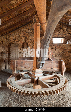 Ein Pferdemühle oder Gin an das Ecomuseo De La Alcogida in Tefia auf der Kanarischen Insel Fuerteventura Stockfoto