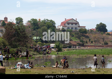 Madagassische Dorfbewohner entnehme eine Gemeinschaft Teich eingeführt und invasive Wasserhyazinthe (Eichhornia Crasspipes). Madagaskar. Stockfoto