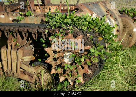 Wrack eines japanischen WWII-Tanks, Alexishafen, Madang, Papua Neuguinea, Melanesien Stockfoto