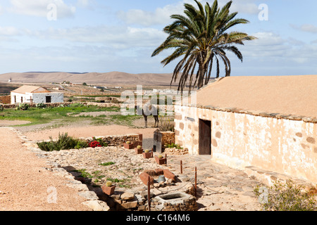 Restaurierte traditionelle Häuser in das Ecomuseo De La Alcogida in Tefia auf der Kanarischen Insel Fuerteventura Stockfoto