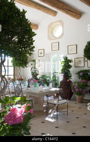 Esstisch in der Orangerie mit hölzernen Balkendecke und Topfpflanzen gelegt Stockfoto