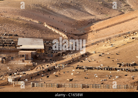 Eine Ziegenfarm westlich von Llanos De La Concepcion auf der Kanarischen Insel Fuerteventura Stockfoto