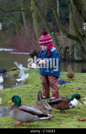 Kind füttern Enten im Park im Winter, Deutschland Stockfoto