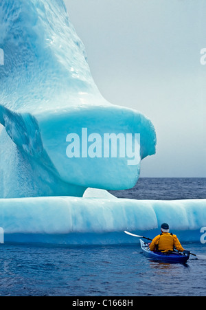 Conan Coates Kajak rund um einen Eisberg im Atlantischen Ozean in der Nähe von Hase Bucht abseits der großen nördlichen Halbinsel im Newfound Stockfoto