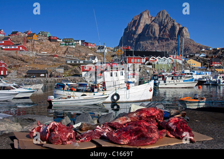 Hafen von Moschusochsen (Ovibos Moschatus) Fleisch von Jägern auf dem Display an der Uummannaq, Nord-Grönland, Grönland Stockfoto