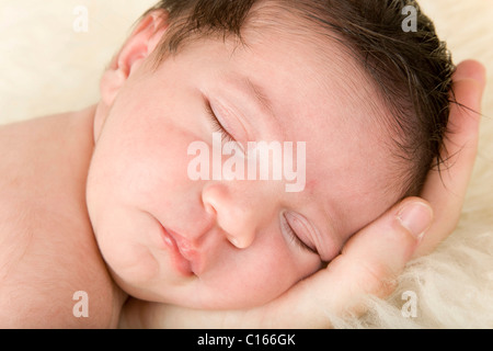 Neugeborenes Baby, zwei Wochen alt, schläft auf es ist die Hand der Mutter Stockfoto