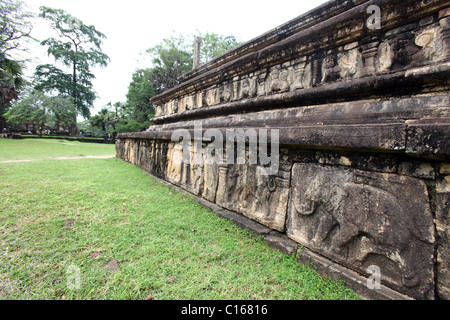 Elefanten geschnitzt in einem buddhistischen Tempel, Polonnaruwa, Sri Lanka Stockfoto
