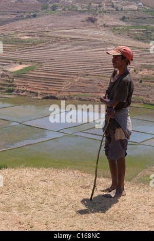 Junger Mann mit Blick auf Reisfelder überflutet und terrassierten Talseite. Madagaskar. Stockfoto