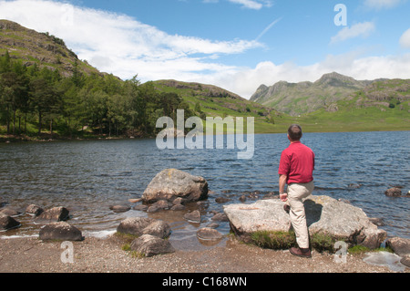 Blea Tarn, Langdale Pikes unter wispy niedrige Wolkendecke. Cumbria, UK. Juni. Der Lake District Stockfoto