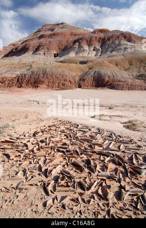 Erodierte Region in der Nähe der alten Paria Movie Set, Grand Staircase-Escalante National Monument, Utah, USA, Nordamerika Stockfoto