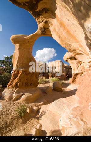 Metate Arch Sandstein-Formationen im Devils Garden, Grand Staircase-Escalante National Monument, Utah, USA, Nordamerika Stockfoto