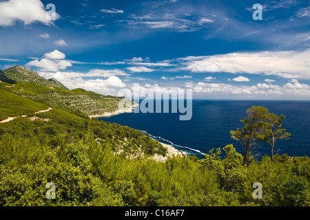 Küstenlandschaft der Insel Mljet, Dubrovnik-Neretva County, Dalmatien, Kroatien, Europa Stockfoto