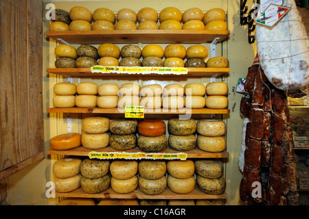 Regale von Käse in De Kaaskamer Käseladen, Straße, Runstraat 7, Amsterdam, Niederlande, Europa Stockfoto