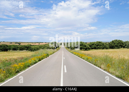 Isolierte Land Straße Richtung geradeaus bis zum Horizont durch die Felder, Cuenca Provinz Kastilien-La Mancha, Spanien, Europa Stockfoto