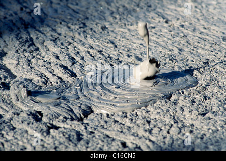 Brodelnde Schlamm, Wai-o-Tapu Thermalbecken, Rotorua, Nordinsel, Neuseeland Stockfoto