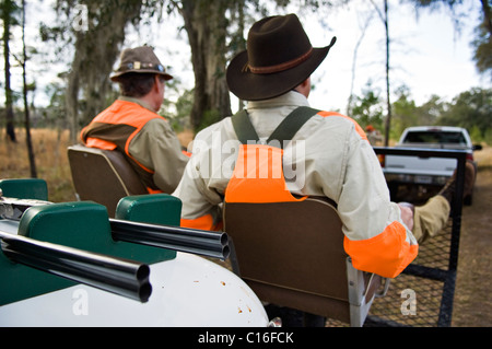 Upland Vogel Jäger und ihre Schrotflinten Reiten auf Jagd Rig bei der Wachtel Wachtel Jagd in Piney Woods of Georgia Stockfoto