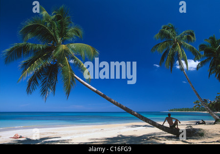 Las Terrenas, Halbinsel Samaná, Dominikanische Republik, Caribbean Stockfoto