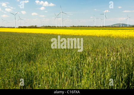 Windkraftanlagen auf Felder, Burgenland, Österreich, Europa Stockfoto