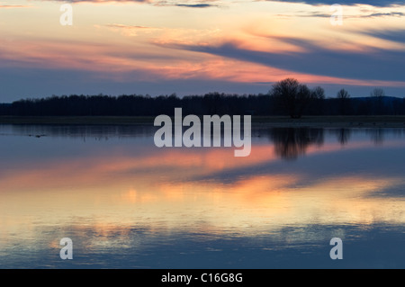 Reflexion der Sonnenuntergang in überfluteten Hof Feld in Ewing Bottoms in Jackson County, Indiana Stockfoto