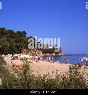 Troulos Beach, Skiathos, Sporaden, Thessalien, Griechenland Stockfoto