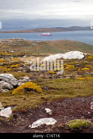 West Point Insel (mit MS Expedition in Ferne), Falkland Stockfoto