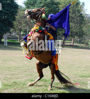 Ein Nihang oder Sikh Krieger, führt auf seinem Pferd während des Beginns der Amritsar Heritage Festival Amritsar, Indien- Stockfoto