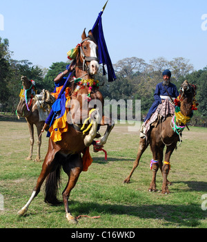 Ein Nihang oder Sikh Krieger, führt auf seinem Pferd während des Beginns der Amritsar Heritage Festival Amritsar, Indien- Stockfoto